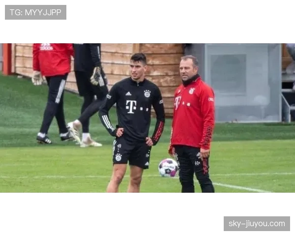 德甲体系下巴拉克与梅策尔中场推进角色的分化机制